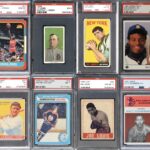Professional graded trading cards in PSA and BGS slabs showing certification labels