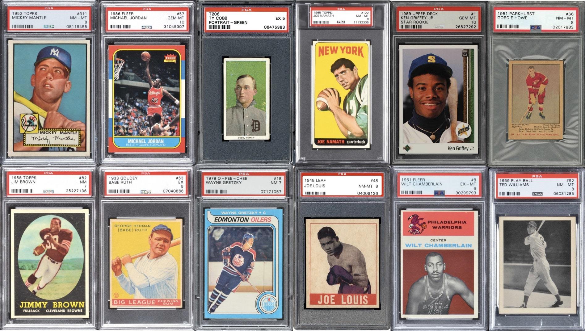 Professional graded trading cards in PSA and BGS slabs showing certification labels